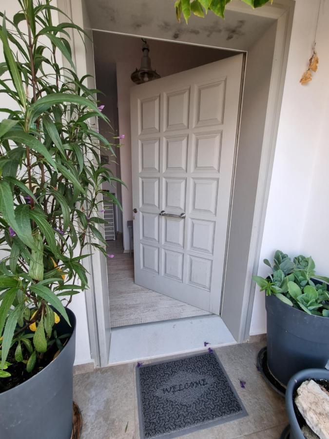 Hara'S Villa In Naousa , Paros Eksteriør bilde