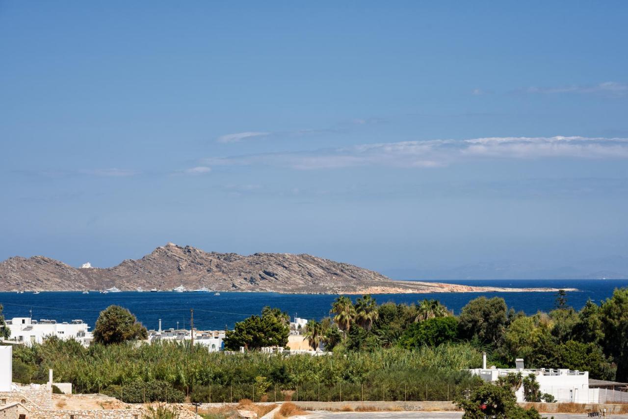 Hara'S Villa In Naousa , Paros Eksteriør bilde